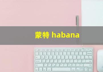 蒙特 habana